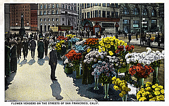 花,出售,街道,旧金山,加利福尼亚