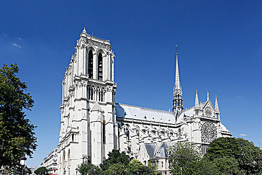 法国,巴黎,巴黎四区,巴黎圣母院,大教堂