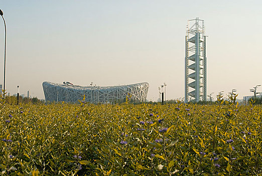 北京鸟巢和玲珑塔