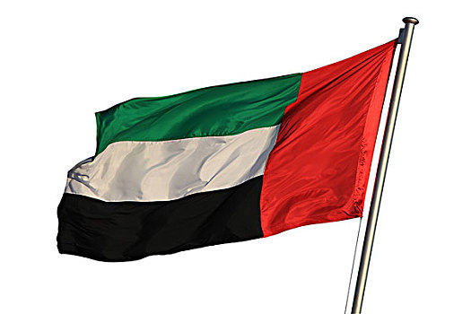 旗帜,阿联酋,隔绝,白色背景
