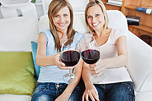 两个,可爱,女人,拿着,葡萄酒杯,沙发