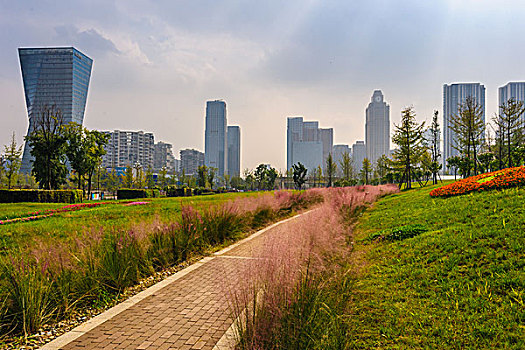 鋪滿鮮花的道路