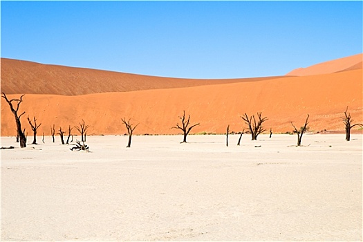 死亡谷,纳米比沙漠,国家公园