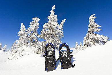 雪地鞋图片
