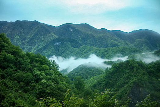 神农架,大九湖,风景,景点,旅游,高山,瀑布,河流,树木,植被,湿地,高原,湖泊,壮观