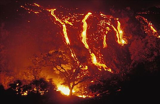 夏威夷,夏威夷大岛,夏威夷火山国家公园,熔岩流,树林,燃烧,树