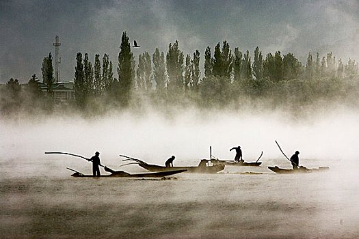 船夫,杂草,早,早晨,斯利那加,克什米尔,印度,五月,2008年,著名,自然美,查谟-克什米尔邦,山谷,拉达克