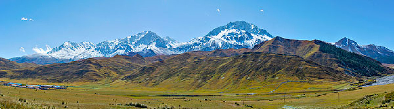 祁连山山麓亚洲最大的半野生鹿基地全景