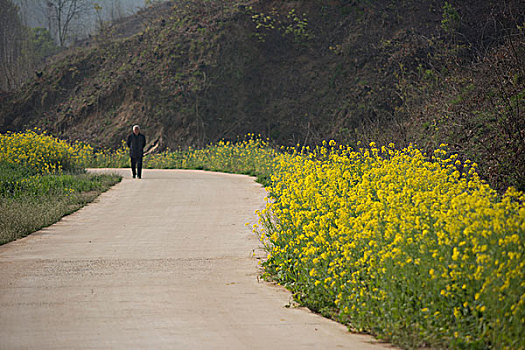 春天乡村道路