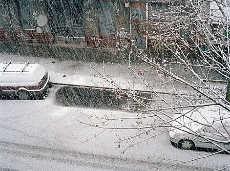 汽车,停放,街上,暴风雪