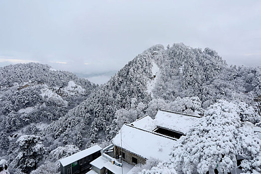 雪后华山宛如画