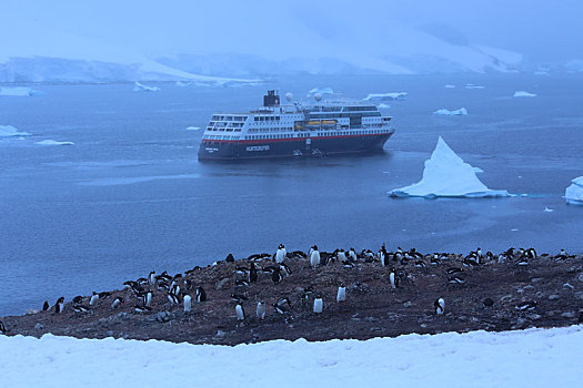 企鹅与冰海中的邮轮