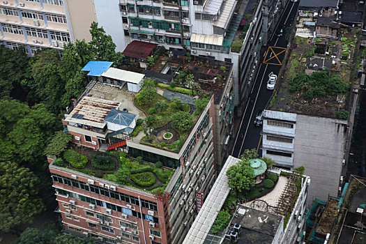 广州,夜景,摩天大楼,灯光,照明,霓虹灯,小蛮腰,电视台,珠江,都市,居民区,花草,美化,园林