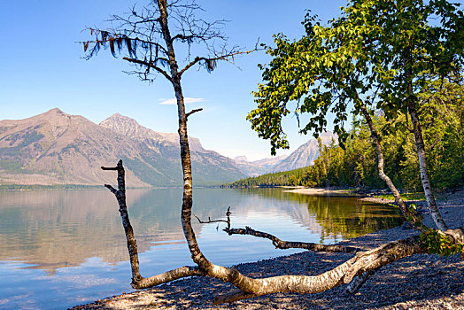 风景,麦克唐纳湖,蒙大拿