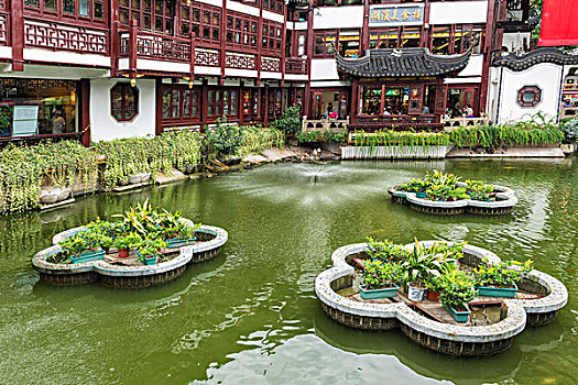 水塘,花园,浦东,老城,上海,中国,亚洲