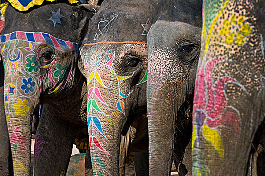 涂绘,大象,琥珀堡,斋浦尔,拉贾斯坦邦,印度,亚洲