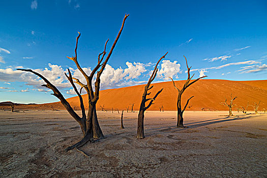 死亡谷,索苏维来地区,纳米比亚