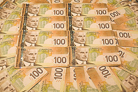 加拿大,美元,货币,钞票,工作室