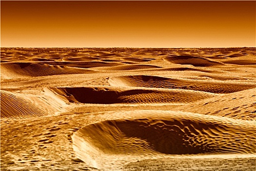 沙丘,撒哈拉沙漠,日落