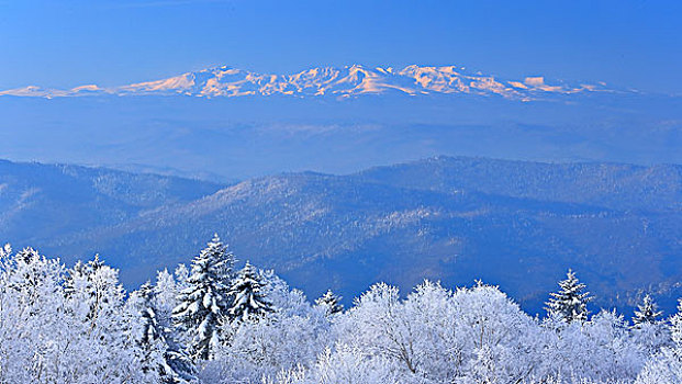 吉林仙峰国家森林公园远眺长白山