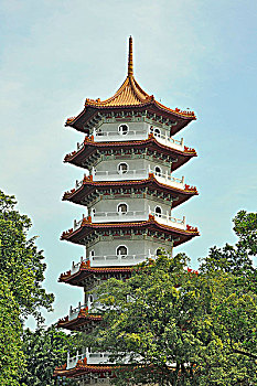 塔,公园,中式花园,东方,西部,区域,新加坡