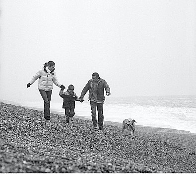 家庭,走,海滩,狗,英国