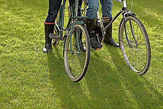特写,两个,老,自行车,草