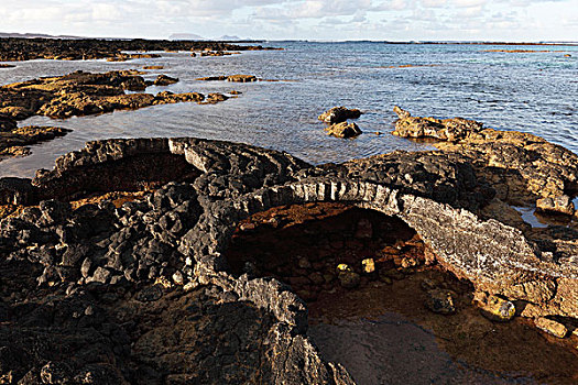 火山岩,海岸,兰索罗特岛,加纳利群岛,西班牙,欧洲