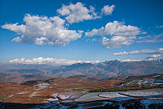 云南东川雪后,锦绣园,红土地