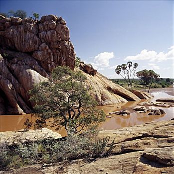 河,名字,寓意,红色,水,壮观,峡谷,国家级保护区,北方,肯尼亚