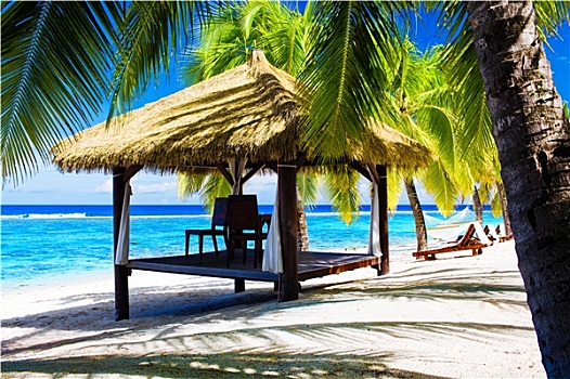 热带,露台,椅子,海滩,棕榈树