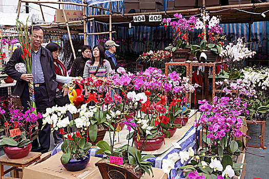 春节,花市,铜锣湾,香港