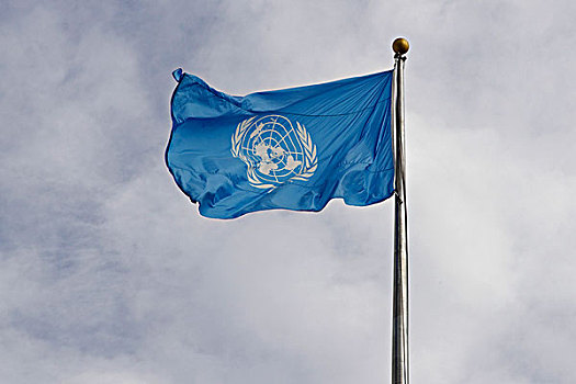 联合国,旗帜,联合国大楼,曼哈顿,纽约,美国,北美