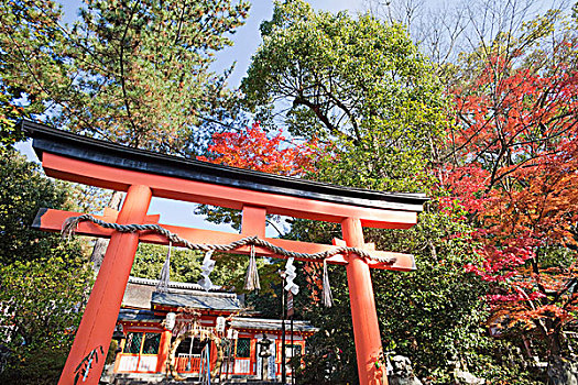日本,京都,神祠