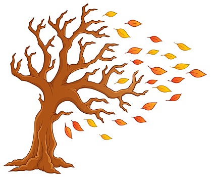 秋天,树,图像