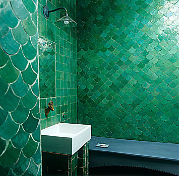 精致,浴室,摩洛哥,房子,绿色,砖瓦