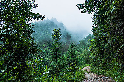 雨雾山景