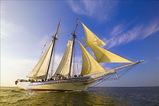 纵帆船,文化遗产,航行,港口,佩诺布斯科特湾,缅因,美国