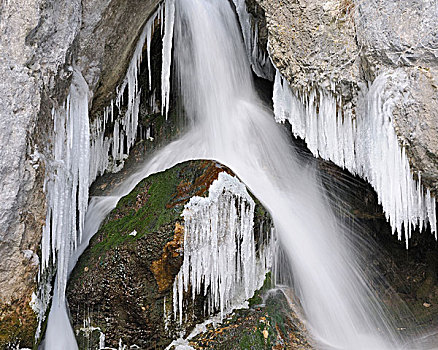 水,冰,瀑布,山谷,下奥地利州,奥地利,欧洲