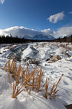 第一,雪,溪流,山峦,克卢恩山脉,后面,克卢恩国家公园,自然保护区,育空地区,加拿大