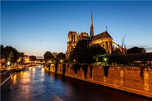 女人,巴黎,大教堂,塞纳河,晚上,法国