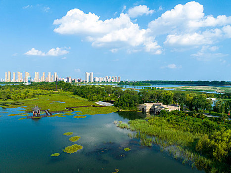 2022年8月1日,江苏省连云港市东海县西双湖风景区,郁郁葱葱,岸绿水清,天蓝景美,构成了一幅优美的夏日美景图,成为了市民休闲纳凉好去处