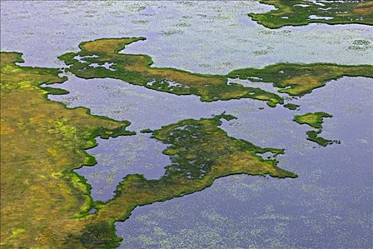 航拍,湿地,靠近,阿拉斯加