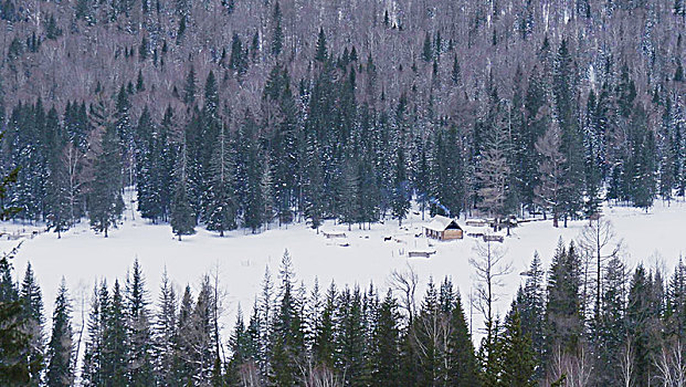 森林,小木屋,冬天,雪