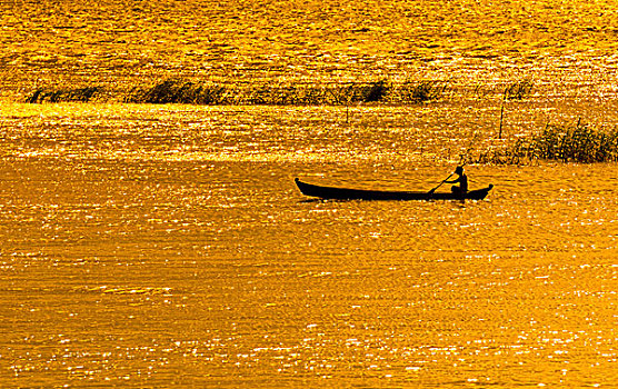 男人,划船,船,河,伊洛瓦底江,傍晚,金光,曼德勒,曼德勒省,缅甸,亚洲