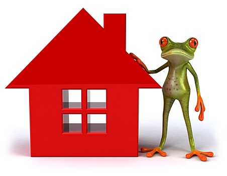 有趣,青蛙,房子