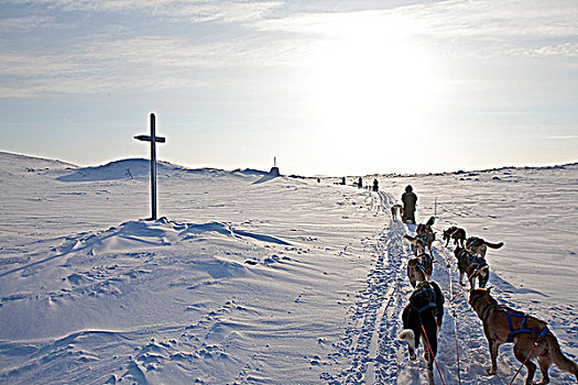 挪威,区域,狗拉雪橇,北极圈