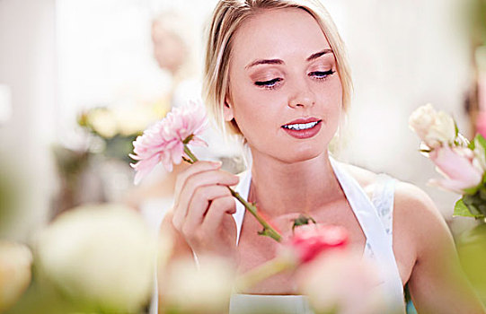 特写,花商,花束