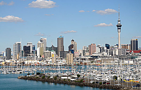 摩天大楼,城市,奥克兰,新西兰