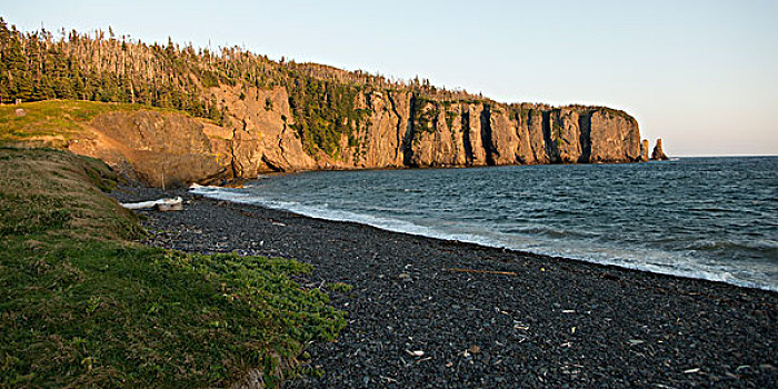 潮汐,海滩,小路,港口,纽芬兰,拉布拉多犬,加拿大